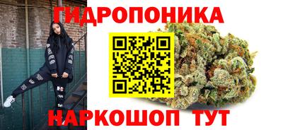 ECSTASY Заволжье
