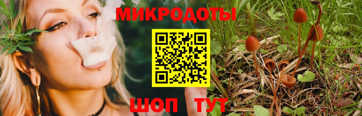 Георгиевск  Псилоцибиновые грибы Magic Shrooms  Вход с VPN 